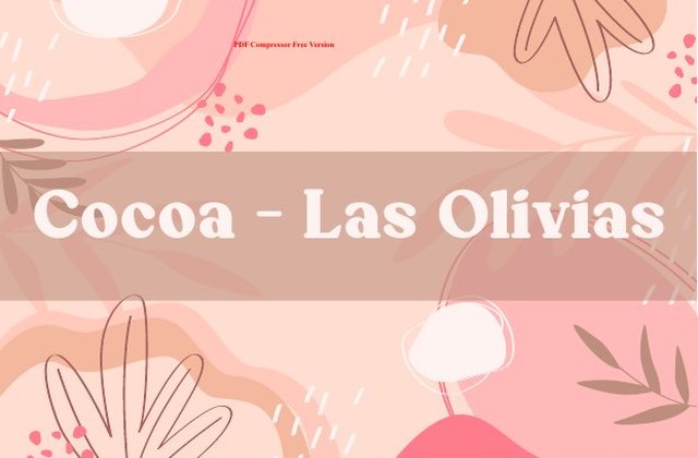 Catálogo COCOA · LAS OLIVIAS