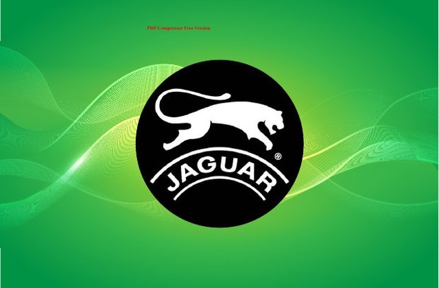Catálogo JAGUAR · BOTINES