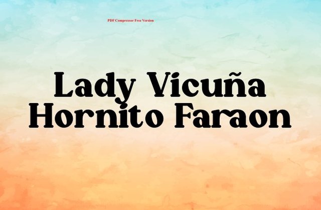 Catálogo LADY VICUÑA · NEW PORT